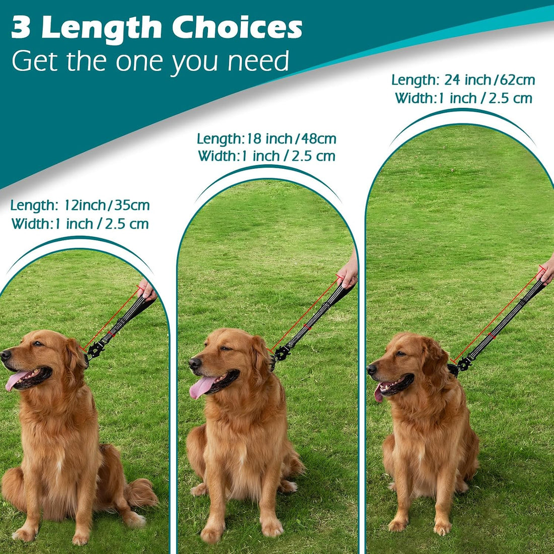 PetBonus Heavy Duty Short Dog Leash