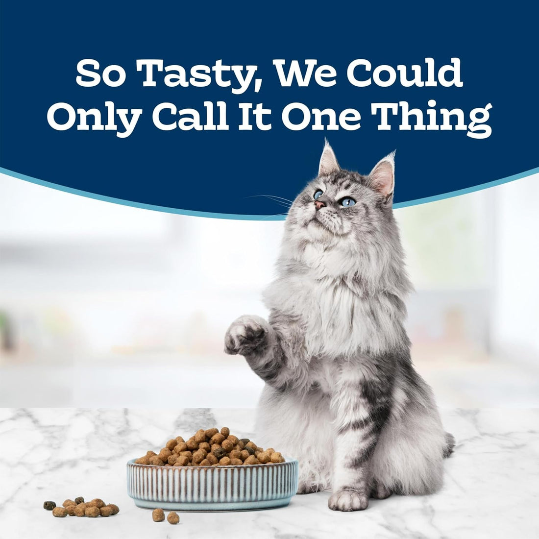 Blue Buffalo Tastefuls Natural Dry Food for Adult Cats