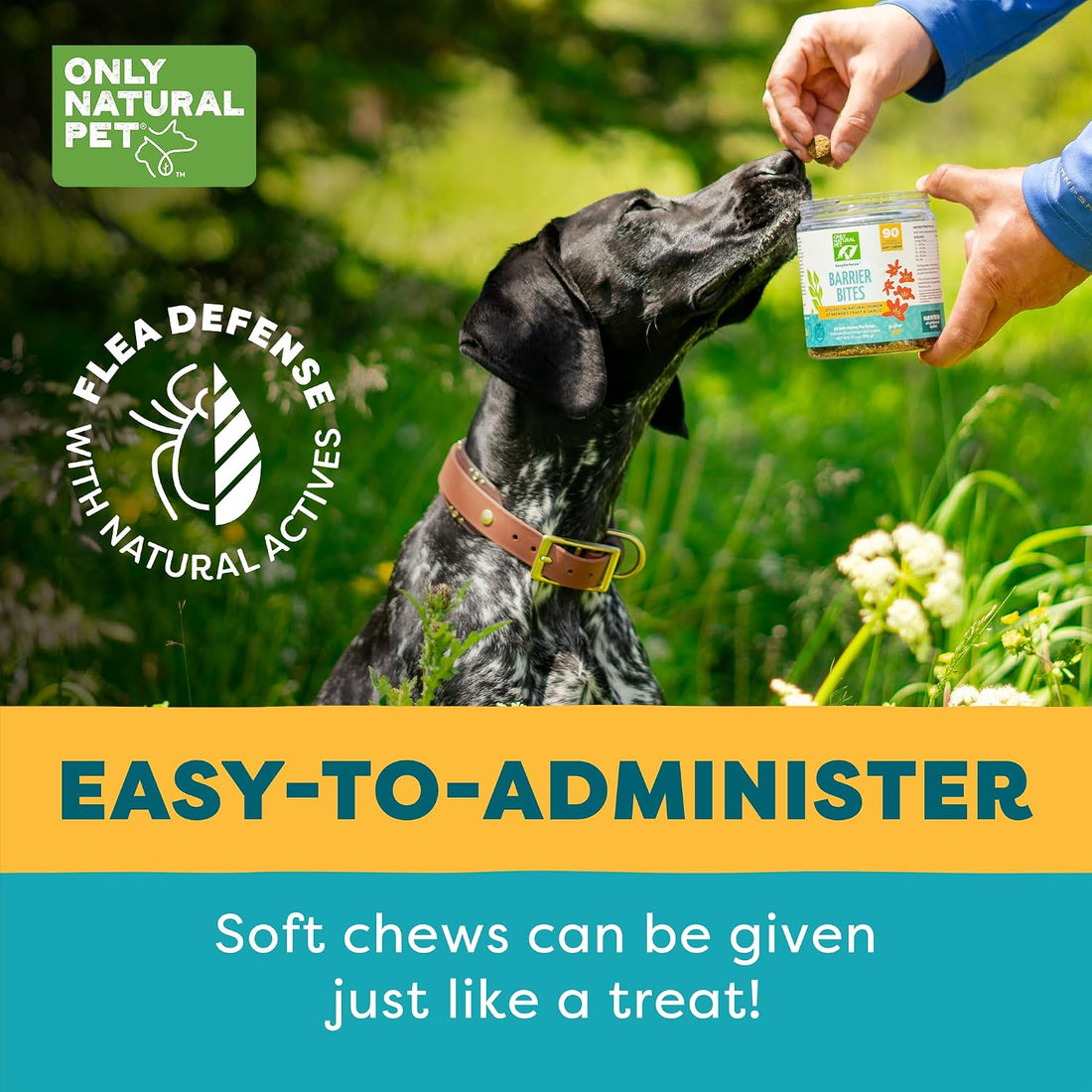 Only Natural Pet EasyDefense Barrier Bites Flea Tick Chews for Dogs