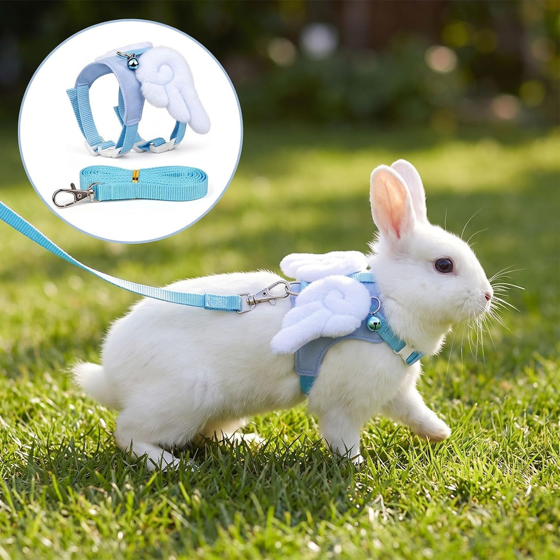 Nogeqi Ferret Harness and Leash Set, Guinea Pig Harness and Leash