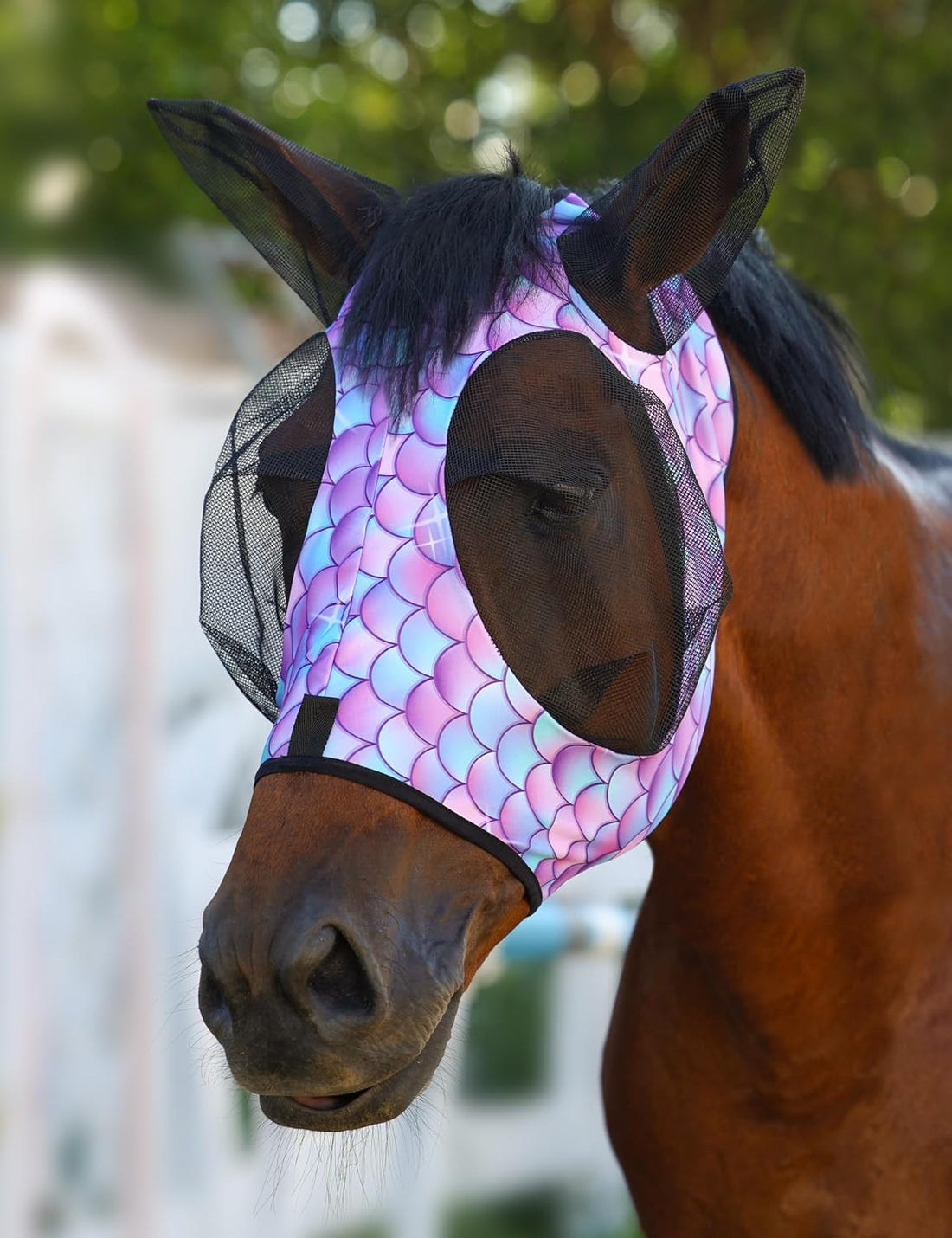 Harrison Howard Stretch Fly Mask with Forelock Opening and Patterns