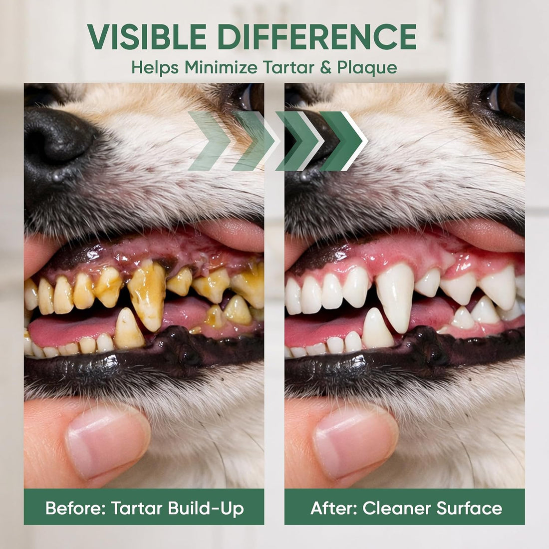 Milolabco Advanced Dental Spray