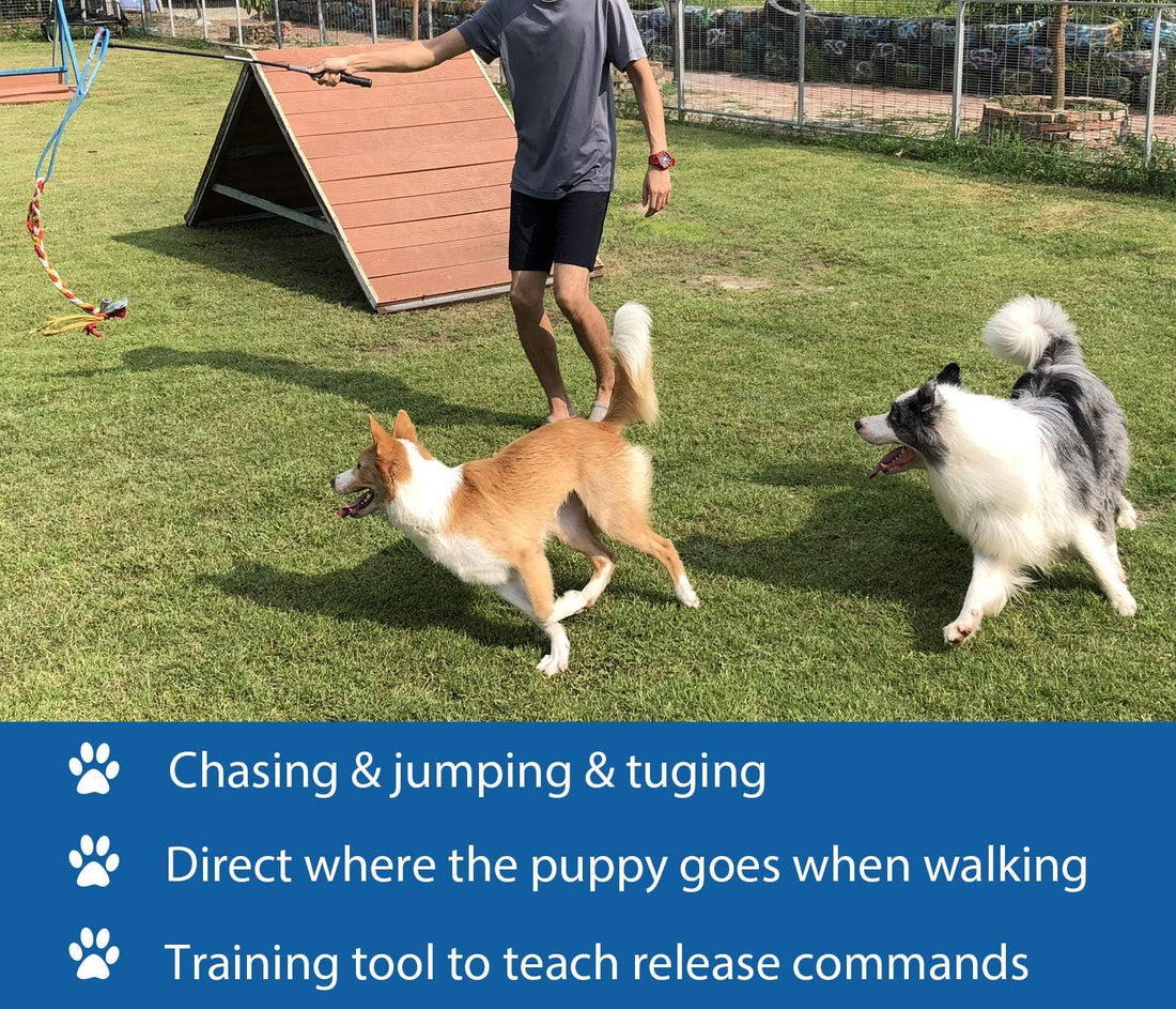 Interactive Flirt Pole Toy for Dogs Chase and Tug of War,Durable