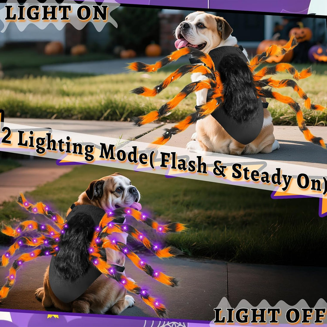 Halloween Light up Spider Dog Costumes for Small Medium Large Dogs