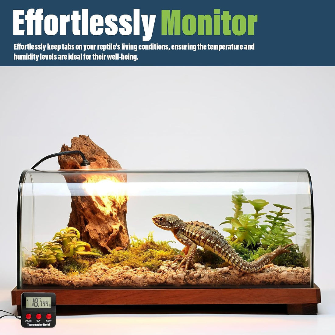 Digital Reptile Thermometer Hygrometer with 2 External Remote Probes