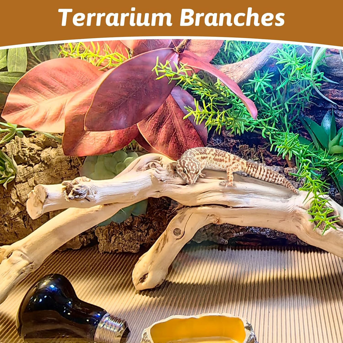 Snake Climbing Branch Wood Enclosure Decor Terrarium Logs