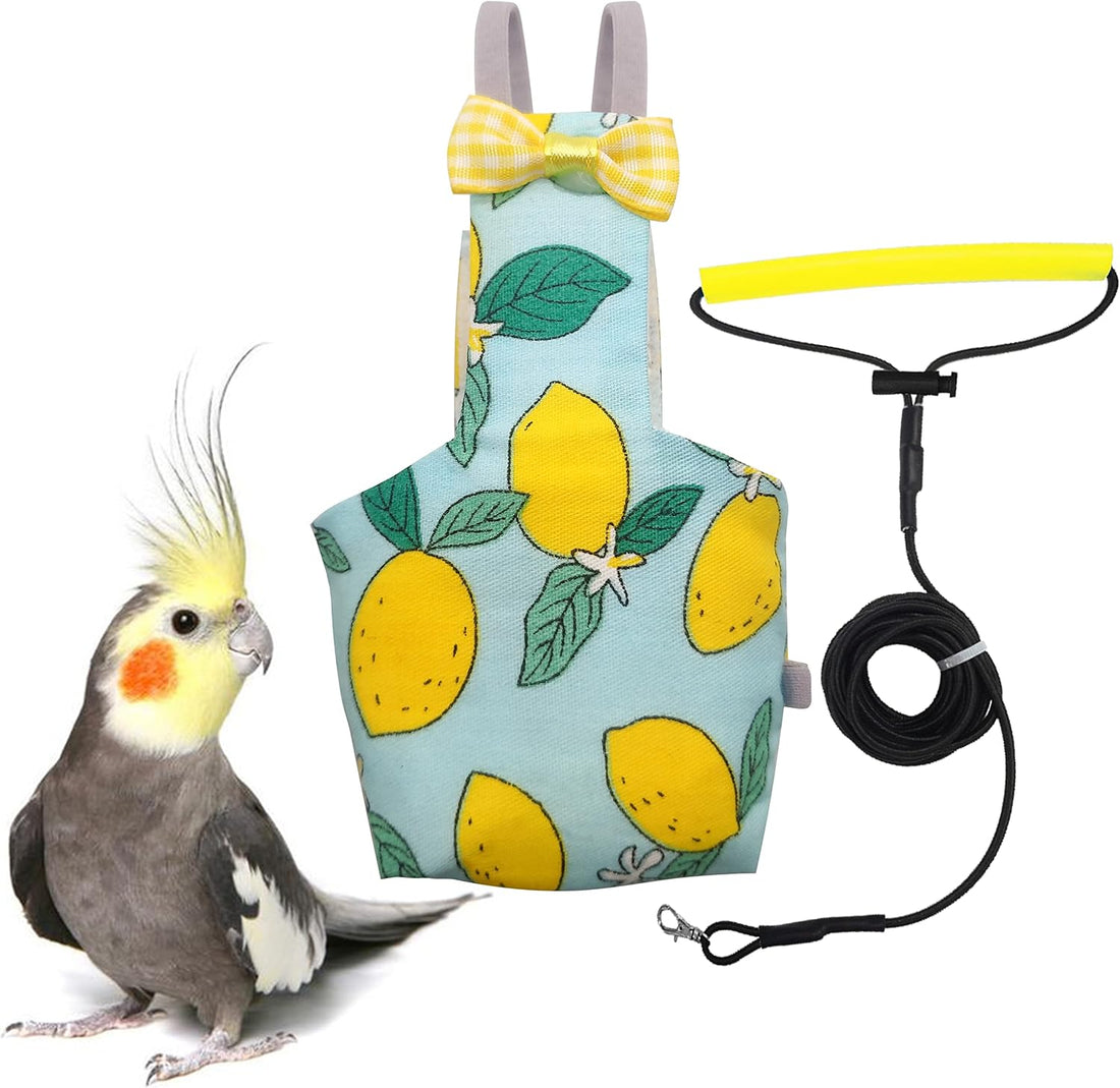 VANFAVORI Bird Diaper Flight Suit with 80-inch Leash Rope, M Size