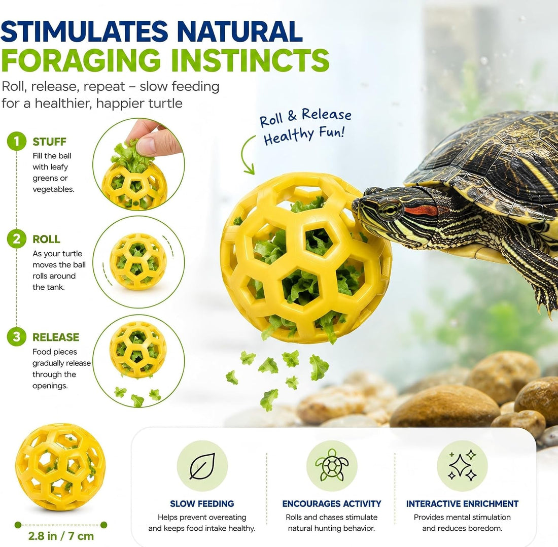 Turtle Brush with Suction Cup, Feeding Rings & Turtle Tank Accessories