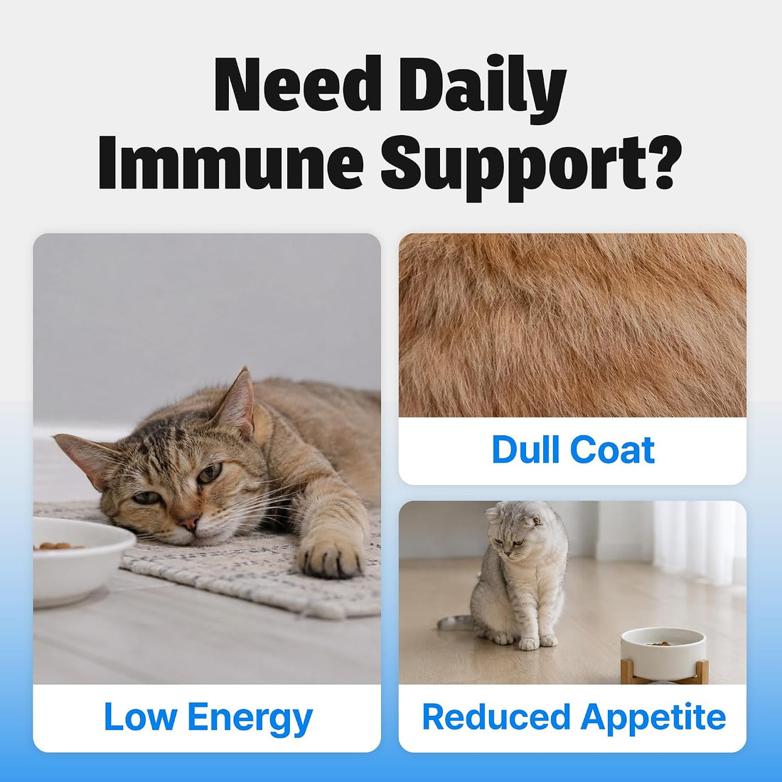 Cat Immune Support, Lickable Multivitamin, Daily Supplement, 30 Tubes