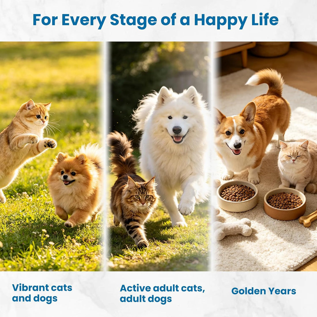 Premium Liquid Collagen & Probiotics for Dogs and Cats - Prebiotics