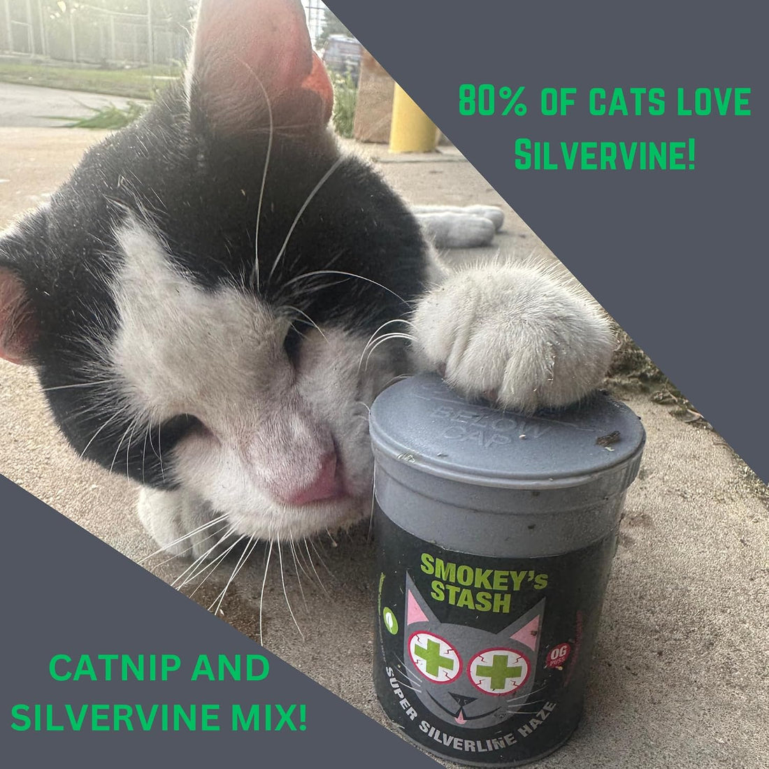 Smokey's Stash Silvervine Haze Potent Catnip and Silver Vine Blend