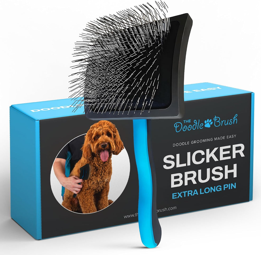 The Doodle Brush Slicker Brush Dog Poodle Brush Detangler