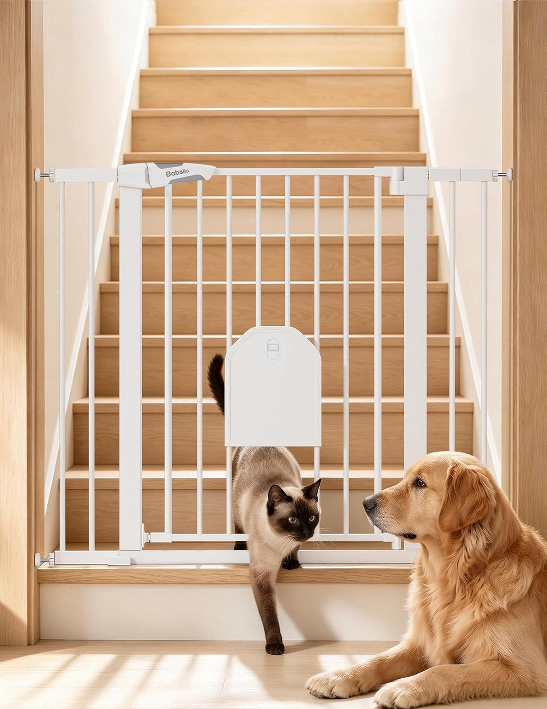 Babelio Auto Close Dog Gate with Cat Door, CatPrivilege I, 29-43"