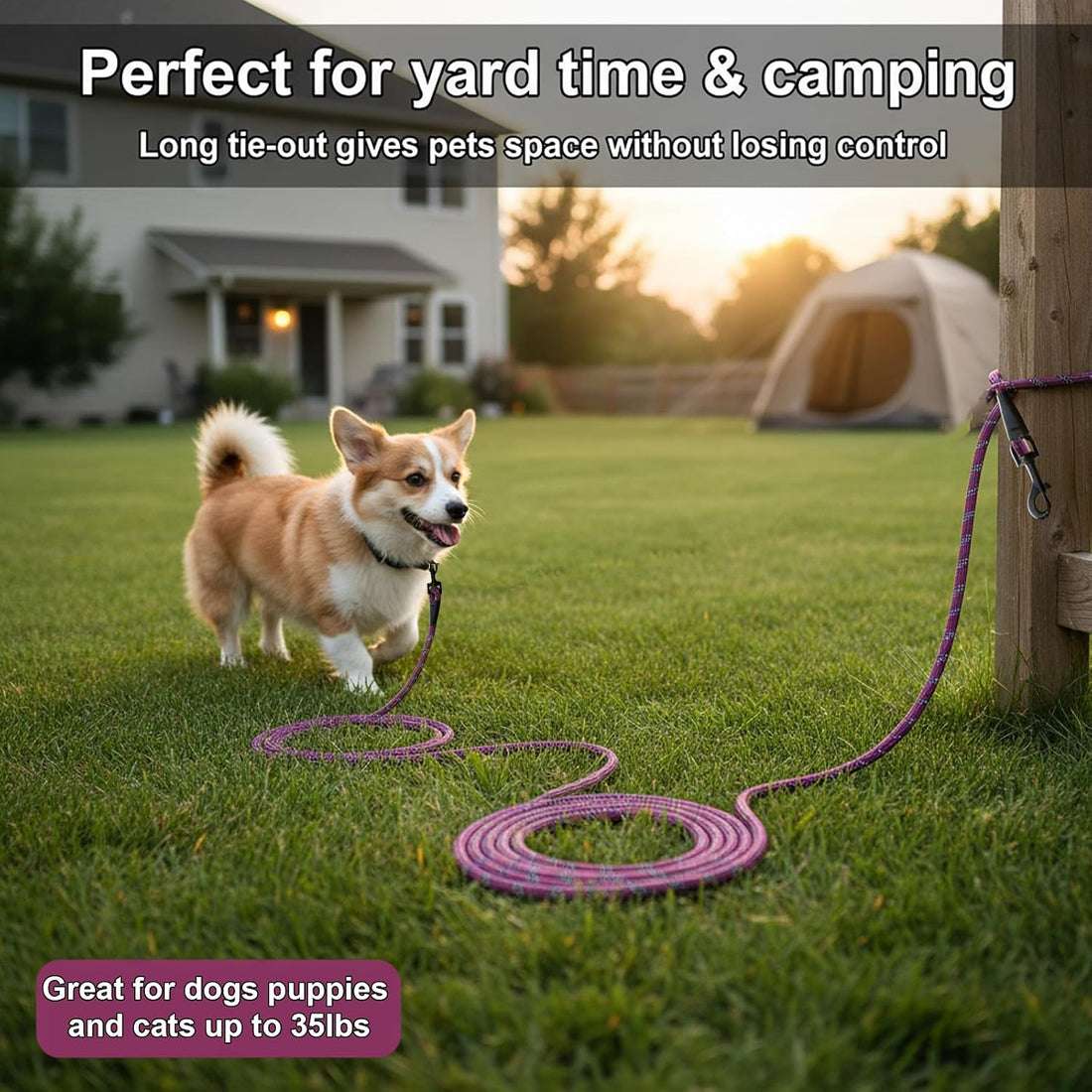 BTINESFUL 8ft 15ft 20ft 30ft Reflective Small Tie Out for Dogs up