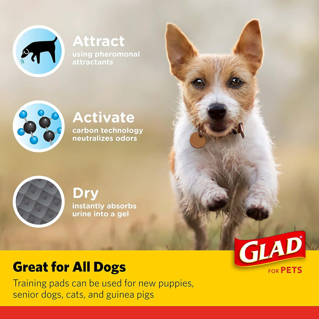 Glad for Pets Black Charcoal Puppy Pads