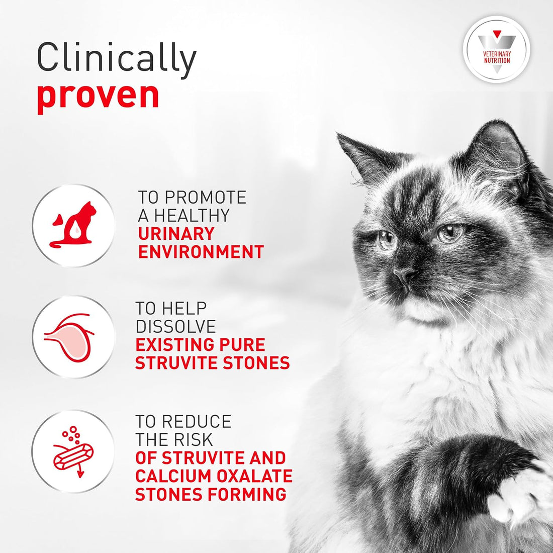 ROYAL CANIN Veterinary Diet Feline Urinary SO Adult Morsels in Gravy