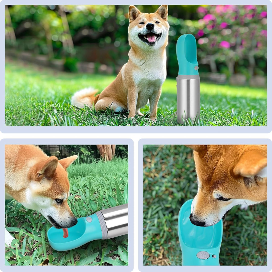 Portable Dog Water Bottle, 14 OZ