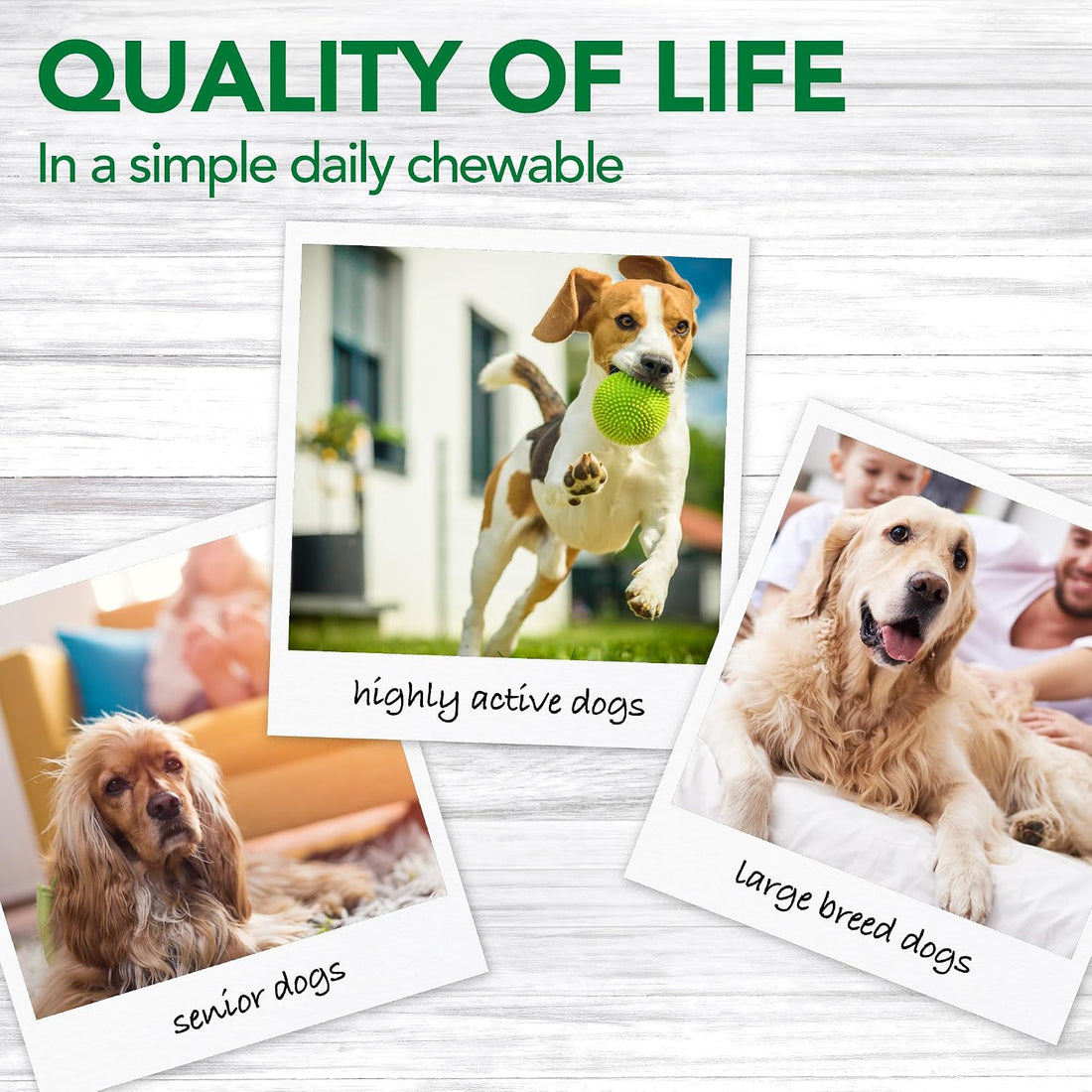 Vet’s Best Dog Pain Relief Supplement