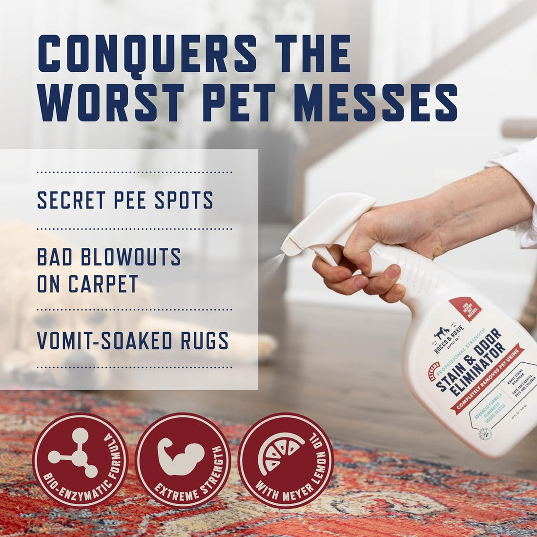 Rocco & Roxie Pet Extreme Stain & Odor Eliminator & Oxy Carpet