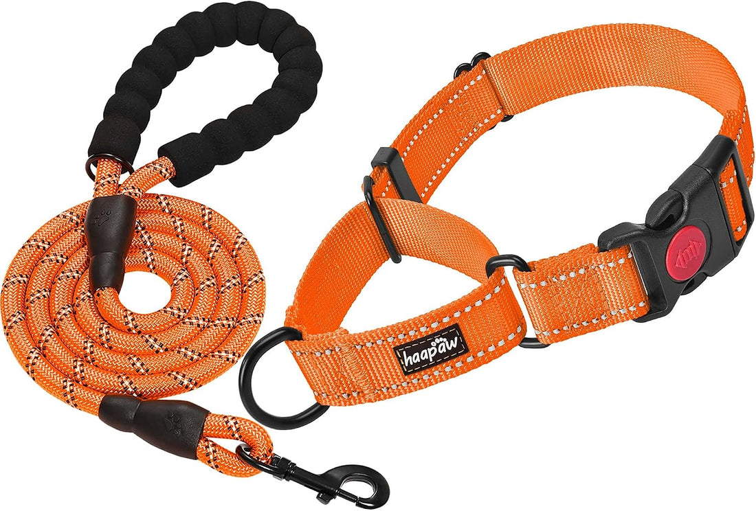 Haapaw Escape-Proof Martingale Dog Collar