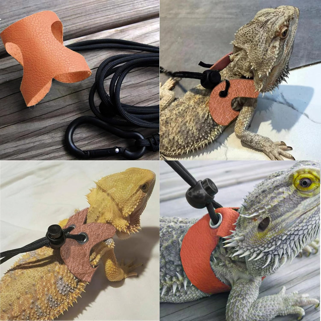 Lizard Adjustable Harness Leash,Bearded Dragon Harness Leash Set
