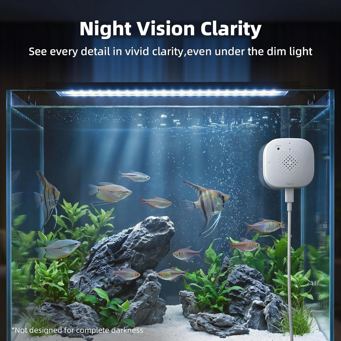3MP 2K Aquarium Camera for Fish Tank, Reptile & Terrarium Camera