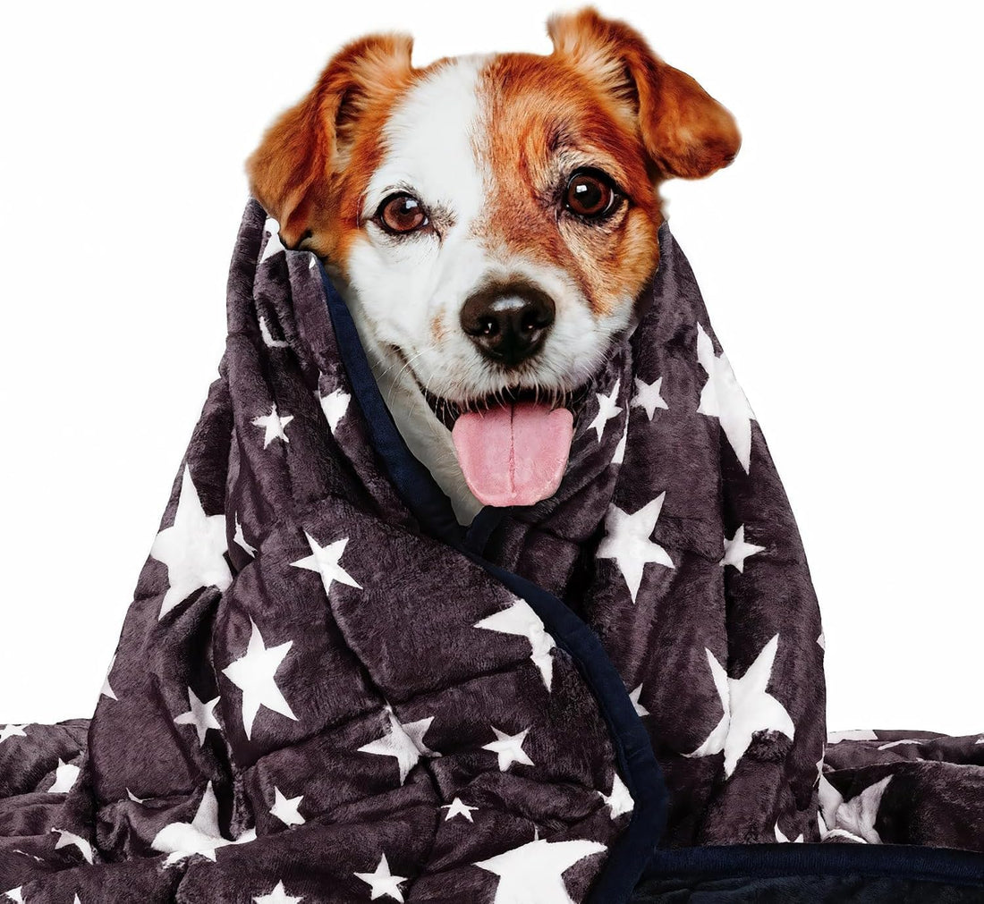 LaSyL Weighted Blanket for Pets | Thunder Blanket for Dogs Anxiety