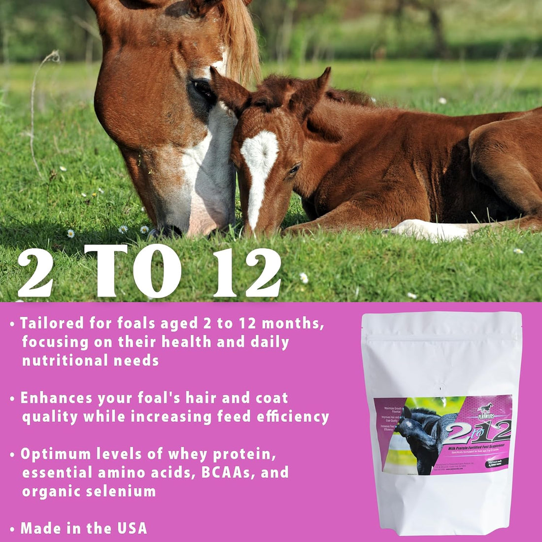 Pennwoods Foal Growth Supplement High Protein 2 to 12 Months, 11lb