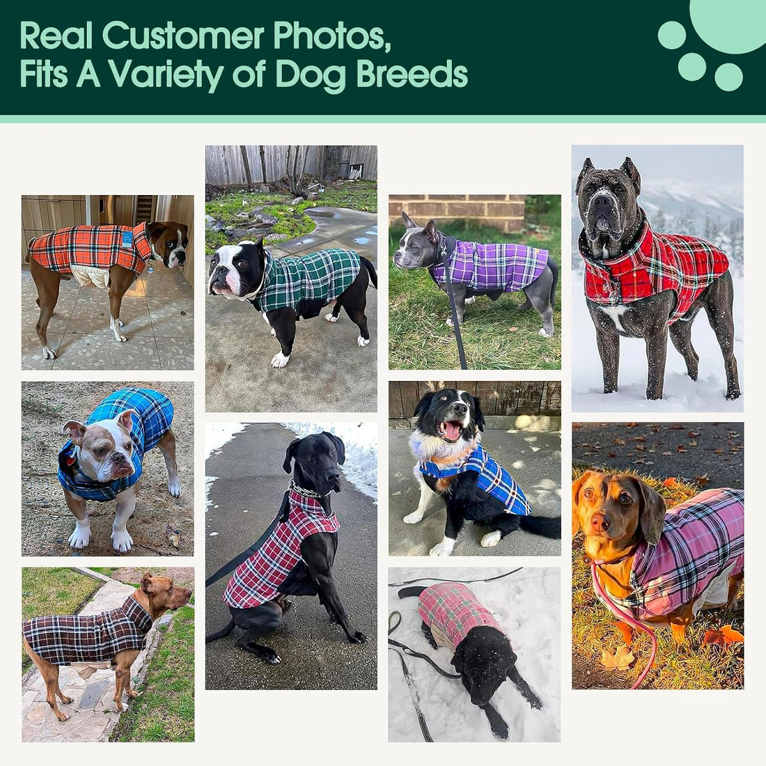 Kuoser Waterproof Dog Coat, Warm Reversible Dog Jacket with Leash Hole