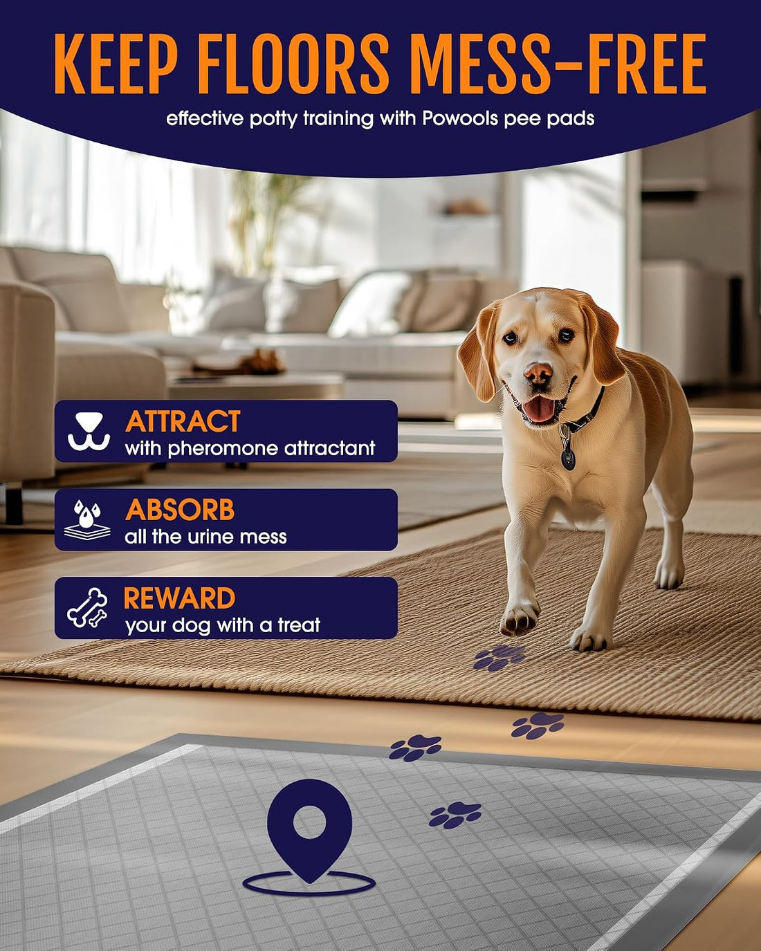 Powools Charcoal Puppy Pads for Dogs, 34 x 28 in, 6-Layer, 100-Pack