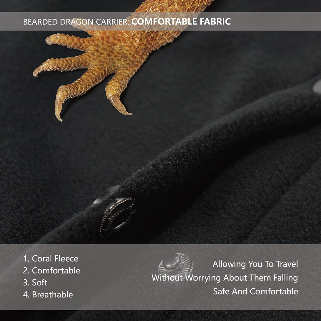 Bearded Dragon Leash and Harness Set, Beardie Carrier