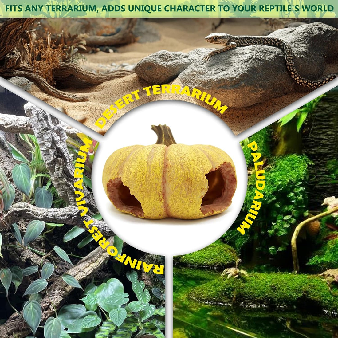 Pumpkin Leopard Gecko Hide Reptile Bearded Dragon Tank Hideout Caves