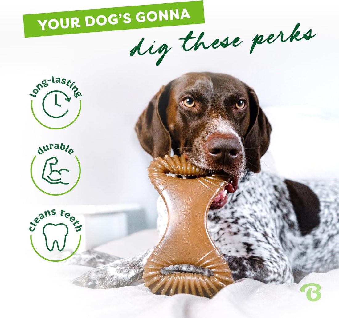 Benebone Dog Chew Toy for Aggressive Chewers, Real Bacon, Medium