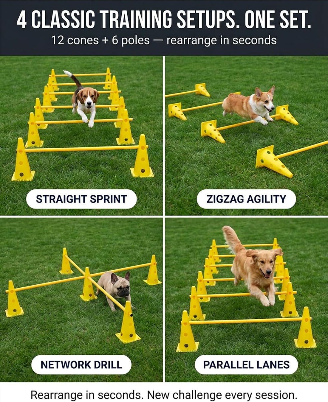 Dog Agility Equipment 6-Piece Set