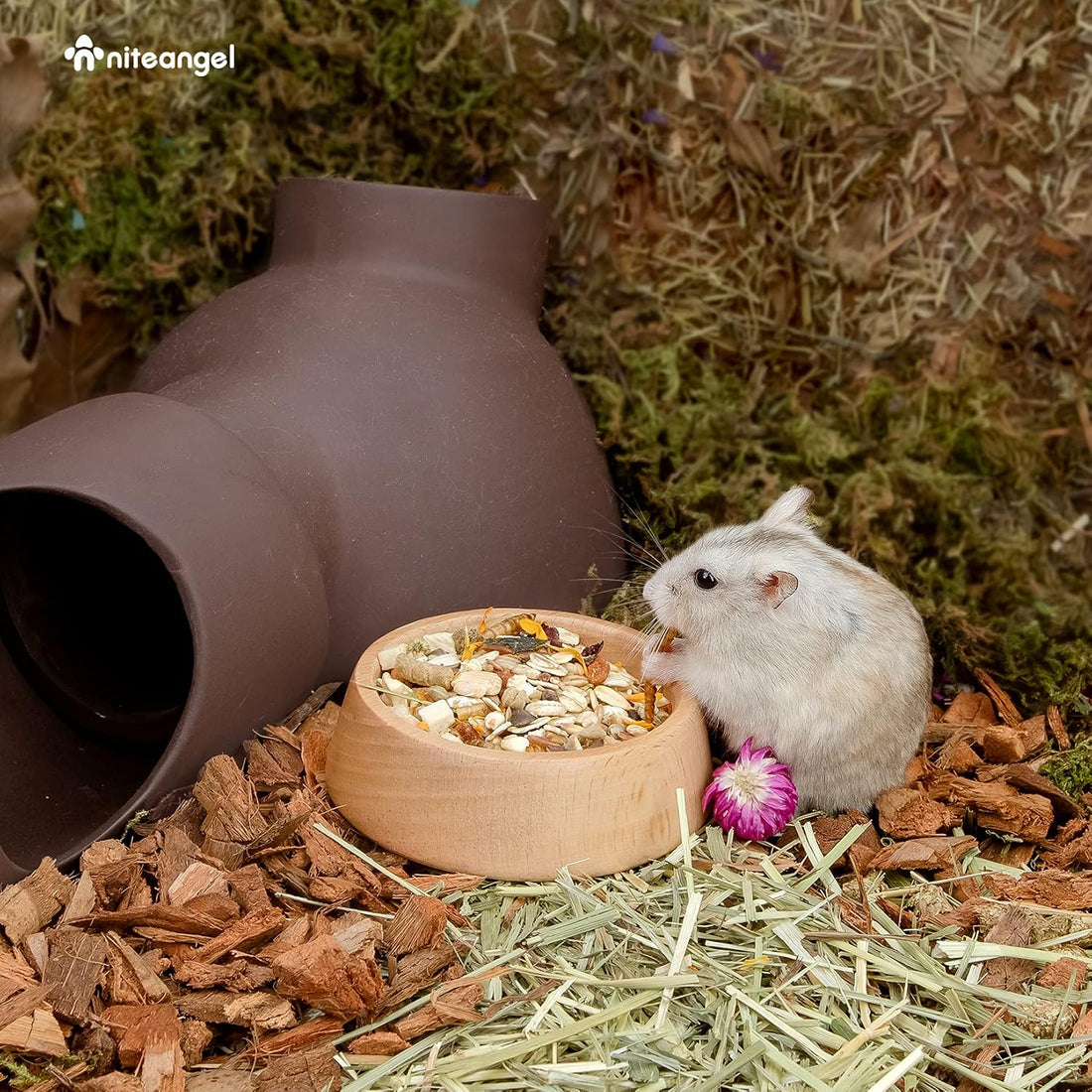 Niteangel Wooden Hamster Food Bowl: Beech Stable & Hammy Pattern