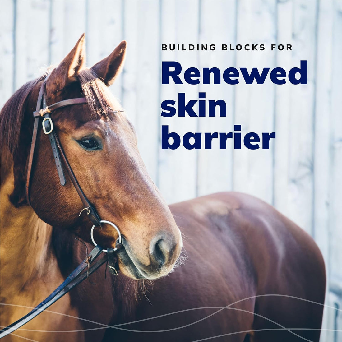 Covetrus CeraSoothe® SA Ear Cleansing Solution for Dogs, Cats & Horses