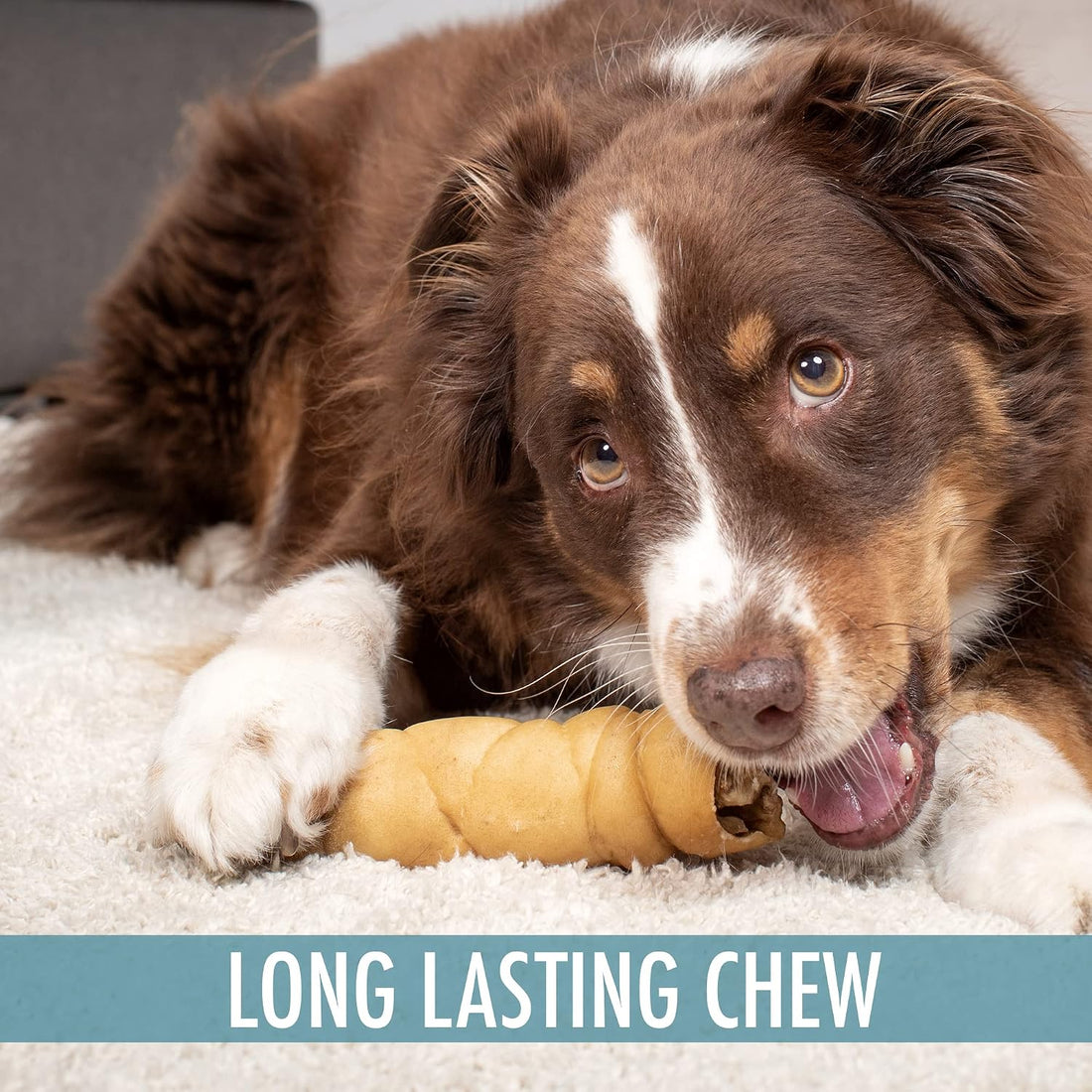 Wild Eats Water Buffalo Retriever Style Cheek Roll Dog Chews