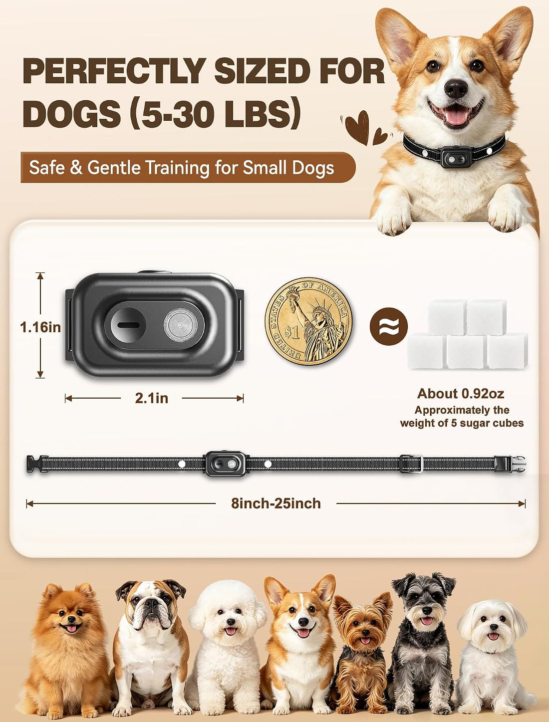 Small Dog Shock Collar with Remote