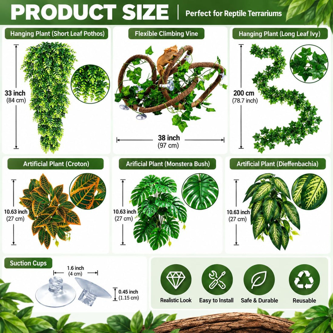 Reptile Plants for Terrarium Tank