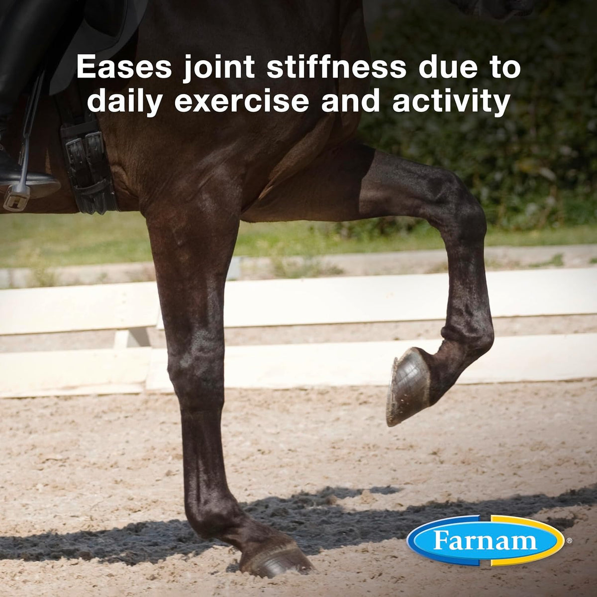 Farnam Next Level Joint Supplement for Horses & Dogs