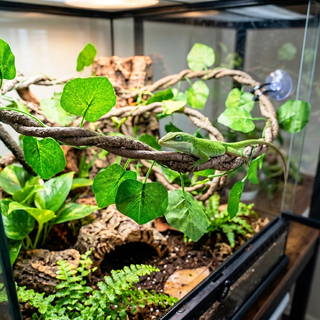 Reptile Jungle Climbing Vines with Leaves, 3-Strand Bendable Branch