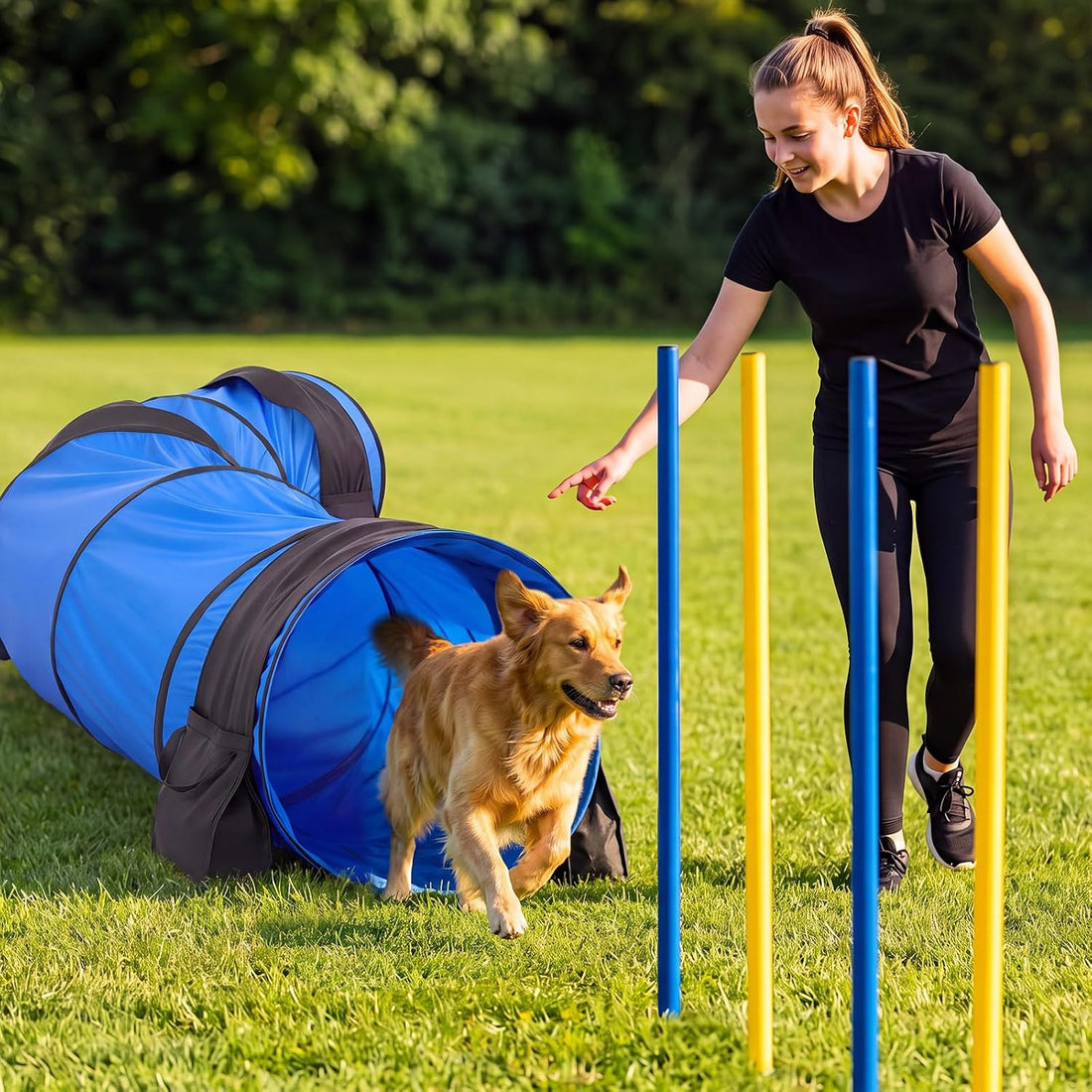 13pcs Large Dog Agility Training Equipment with 28'' Tunnel and Weave