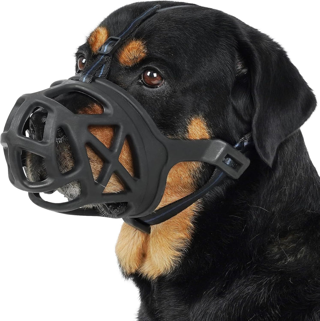 Mayerzon Basket Muzzle for Large Dogs Rottweiler to Anti Biting