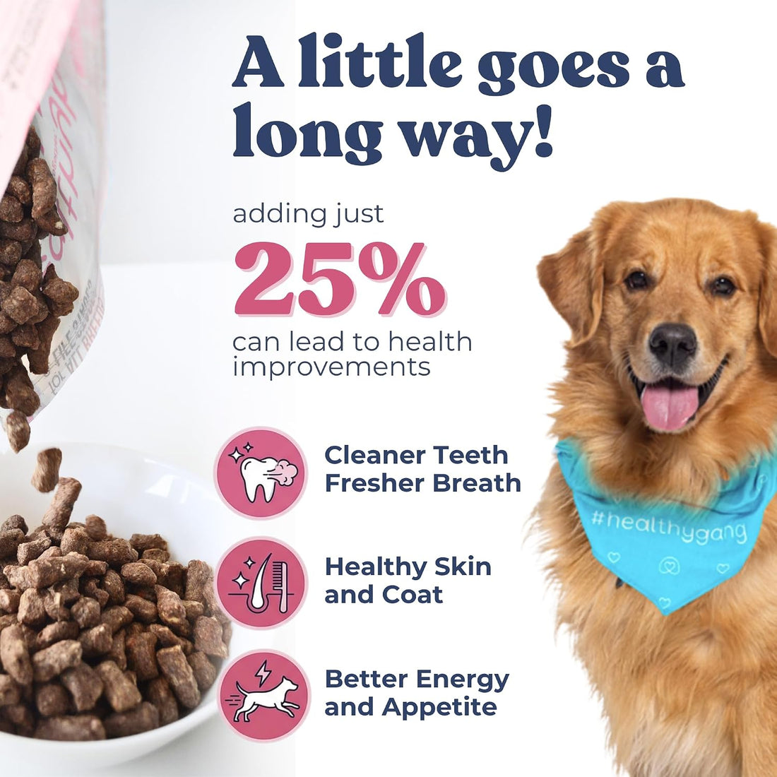 healthybud Raw Dog Food Freeze Dried Bites