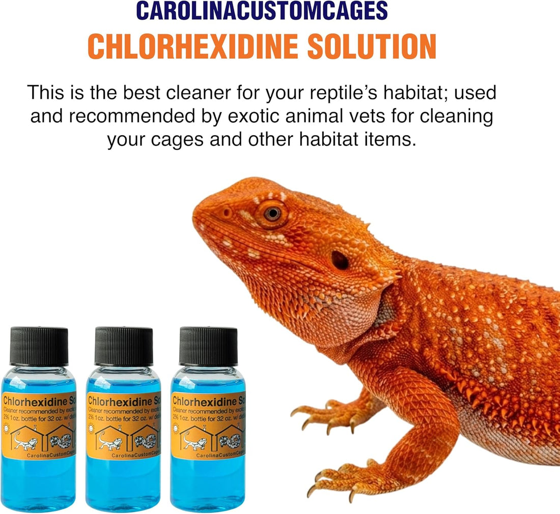 3 Refills of 32 oz Each, Chlorhexidine Solution 2%