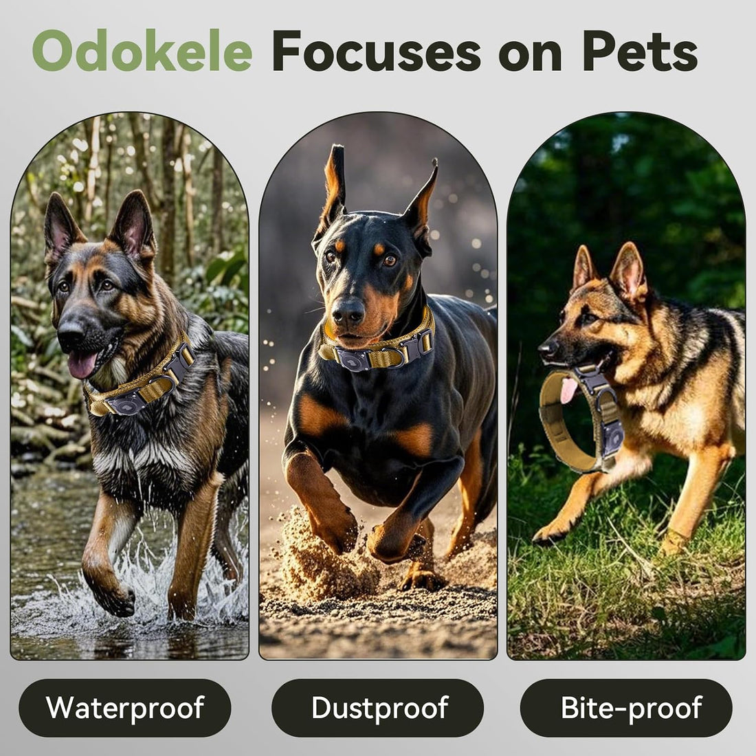 2026 Upgrade Waterproof AirTag Dog Collar
