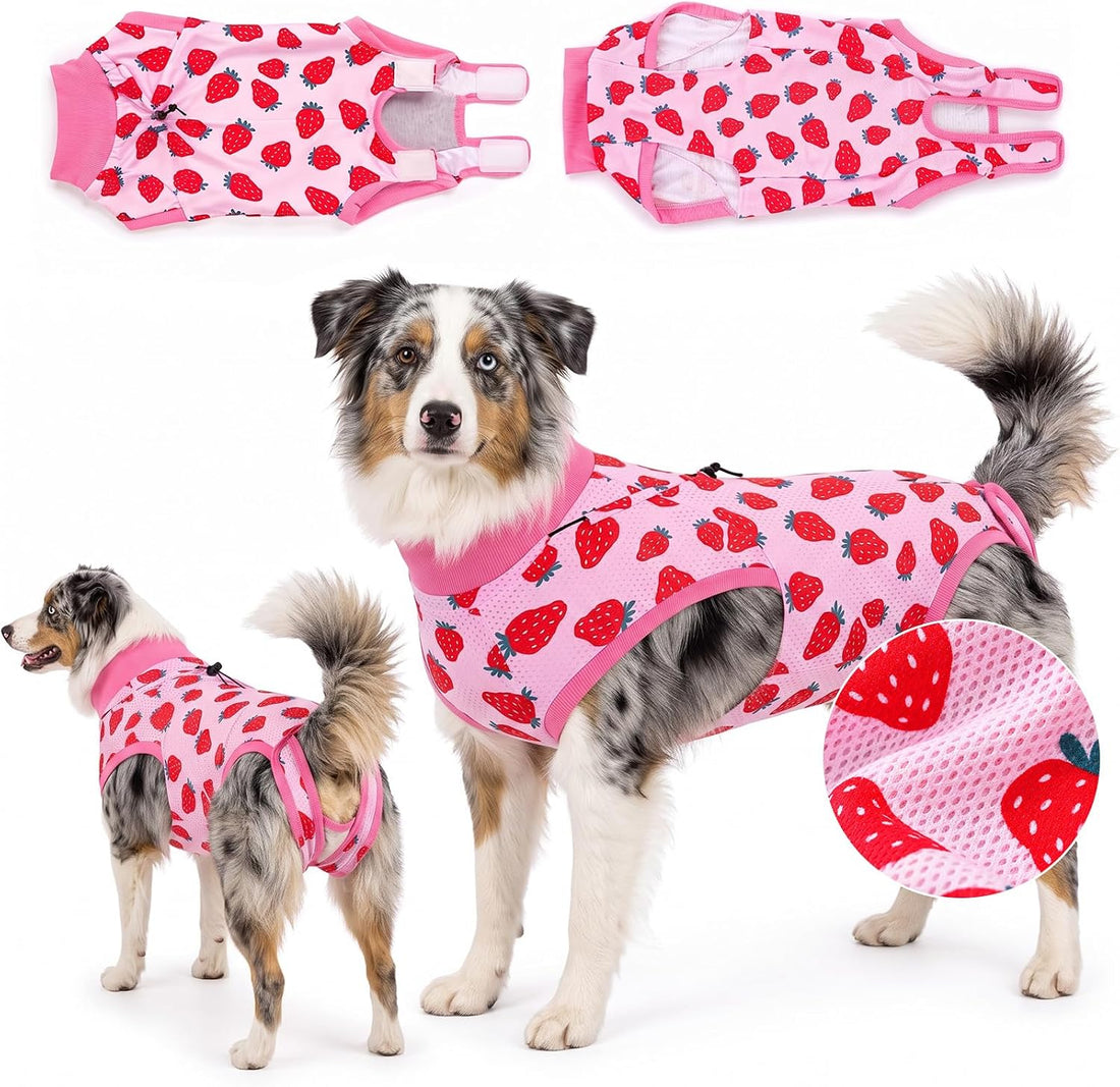 Glittme Dog Surgery Recovery Suit with Breathable Mesh for Female