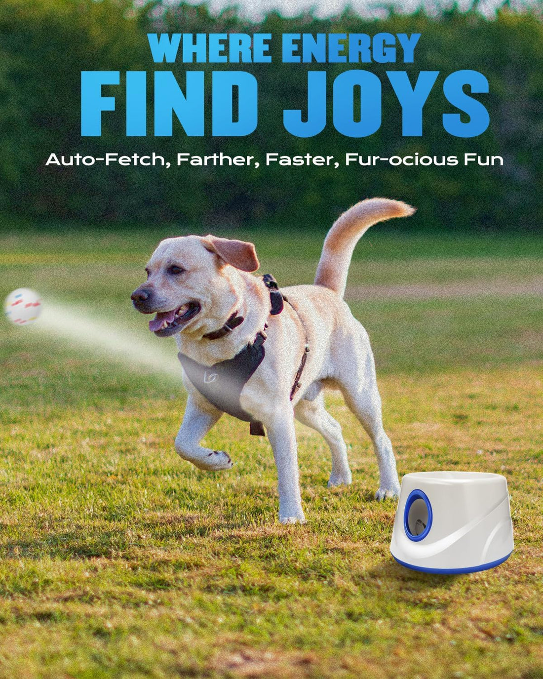 Automatic Dog Ball Thrower Launcher for Small to Medium Dogs