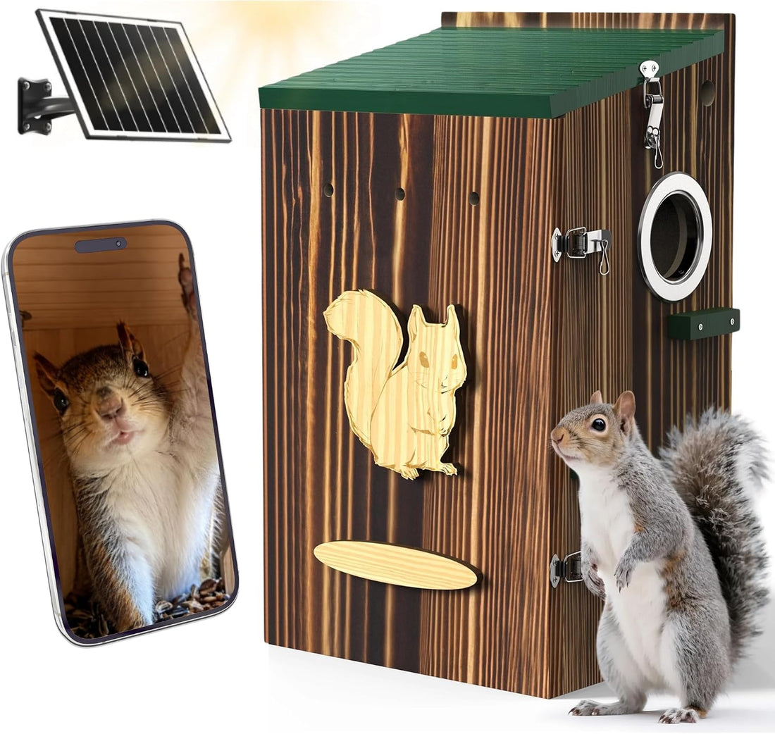 KinetCam Smart Squirrel Box with Camera,Separate Camera