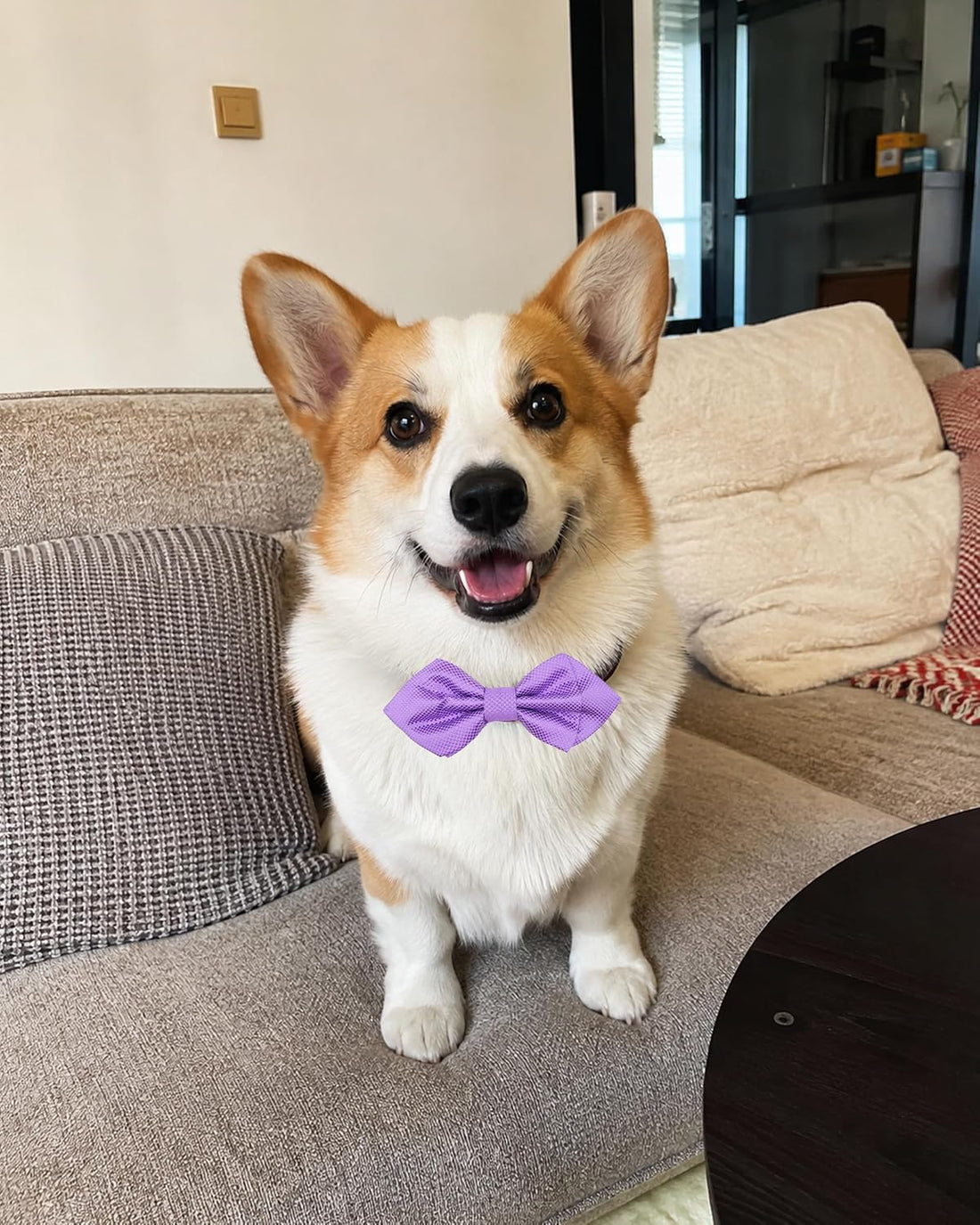PET SHOW Large Dogs Collar Attachment Bow Ties Embellishment Girls
